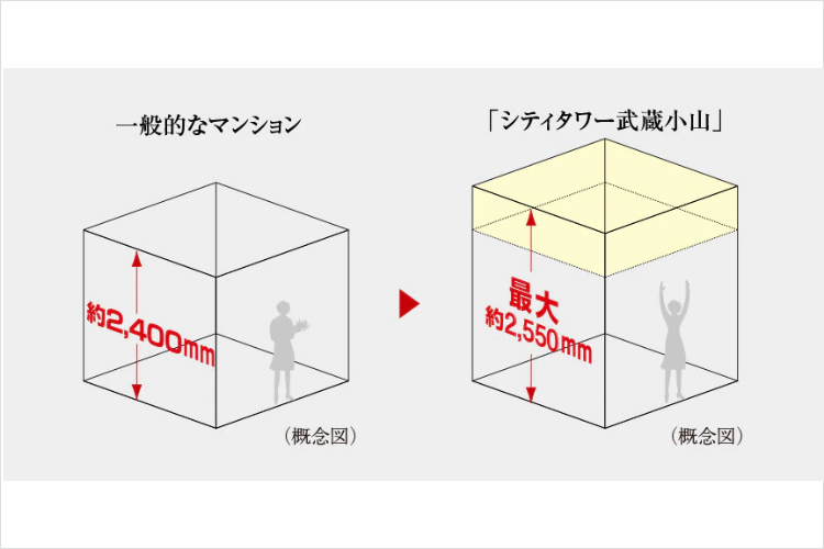 最大約2,550mmの天井高の概念図