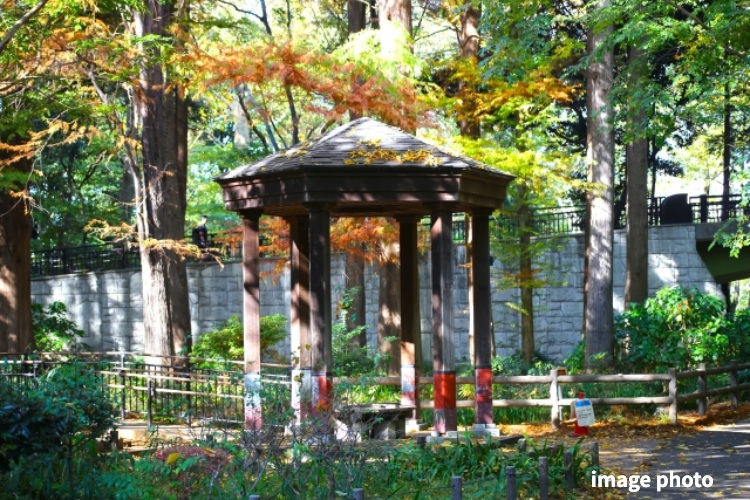 公園のイメージ画像